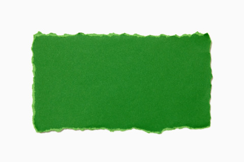 Green torn paper on white background. New York City, New York State, USA.
