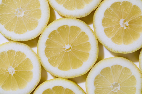 Close-up of sliced lemons on white background. New York City, New York State, USA.