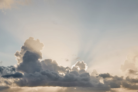 Puffy Cumulus clouds at sunrise. New York City, New York State, USA.