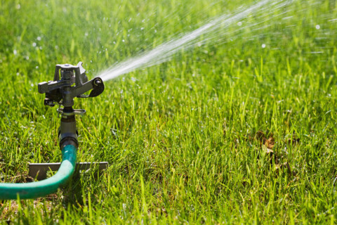 Close-up of lawn Sprinkler watering lawn. Mendham, New Jersey, USA.