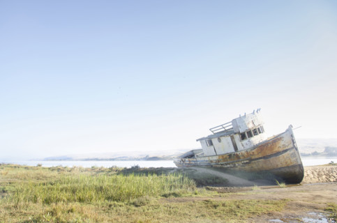 Tomales Bay Shipwreck on sunny day, Inverness, California, USA.