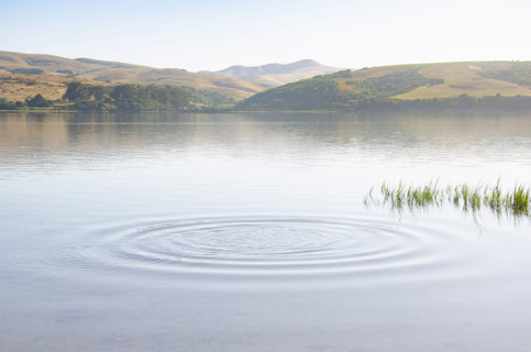 Ripples on calm water surface, Inverness, California, USA.