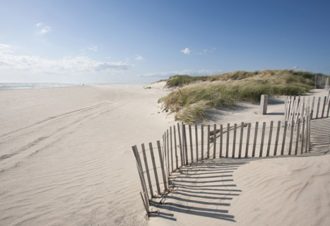 Fence on empty Madaket Beach on sunny day, Nantucket, Massachusetts, USA.
