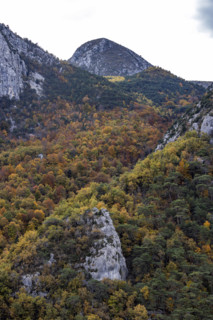Gordes of Verdon rock formations and forest in Autumn, Gorges du Verdon, Provence, France.