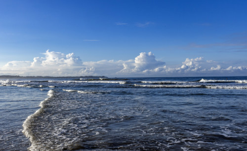 Puffy clouds above calm sea at dawn, Playa Grande, Guanacaste, Costa Rica.