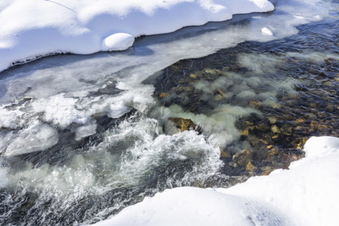 Close-up of ice forming in creek, Sun Valley, Idaho, USA.