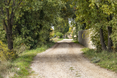 Empty treelined country road , Gordes, Vaucluse, France.