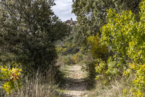 Rural pathway with old town in distance, Gordes, Vaucluse, France.