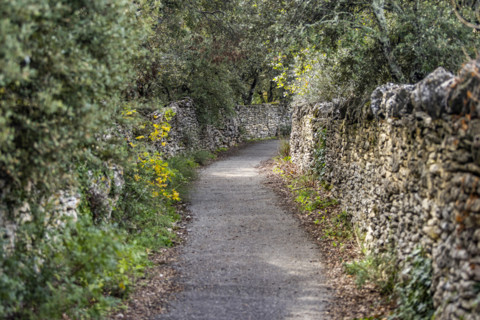 Stone walls and empty path , Gordes, Vaucluse, France.