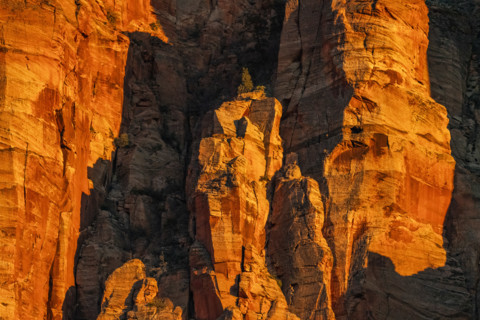 Close-up of sandstone cliffs at sunset, Zion National Park, Utah , USA.