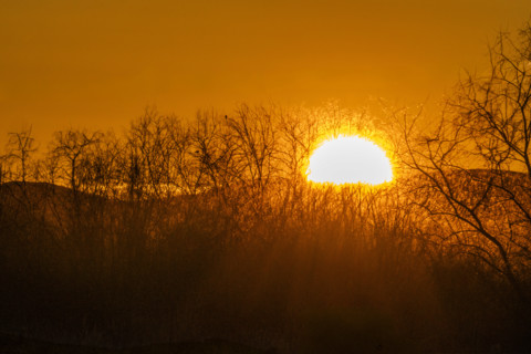 Sun setting over hills and trees, Bellevue, Idaho, USA.