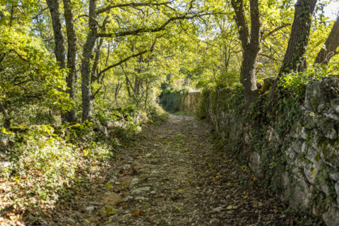 Old stone wall and empty footpath, Bonnieux, Vaucluse, France.