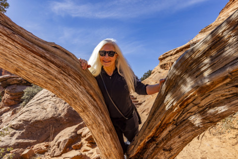 Portrait of smiling senior blonde woman between Juniper tree trunks, Zion National Park, Utah, USA.