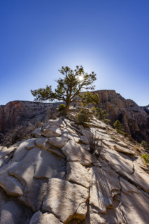 Low angle view of top of Angels Landing, Zion National Park, Utah, USA.