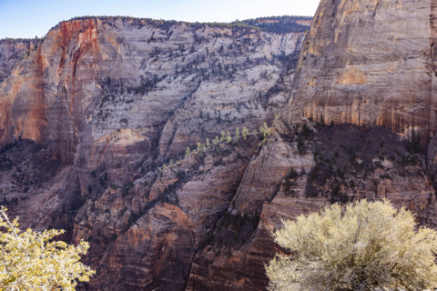 Cliffside view from Angels Landing, Zion National Park, Utah, USA.