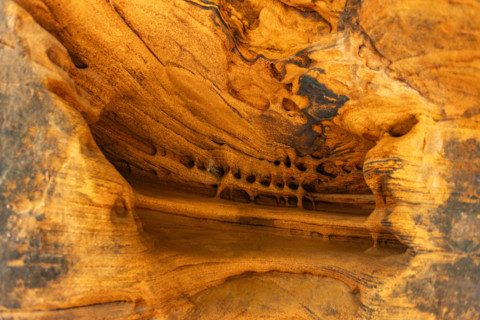 Sandstone formations on hike to Angels Landing, Zion National Park, Utah, USA.
