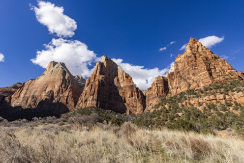 Court of the Patriarchs formation on sunny day, Zion National Park, Utah, USA.