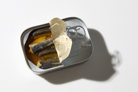 Open tin of sardines on white background, New York City, New York, USA.