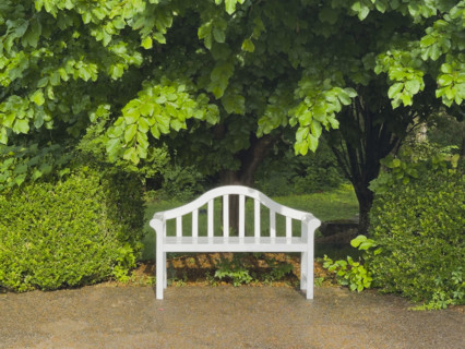 Empty white park bench and trees, Nashville, Tennessee, USA.