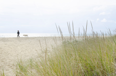 Woman and her dog walking on beach, Nantucket, Massachusetts, USA.