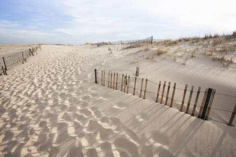 Sandy path to Lighthouse Beach, Chatham, Massachusetts, USA.