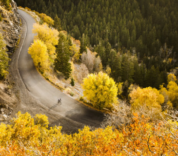 Aerial view of bicyclist on rural road in autumn, Lehi, Utah, USA.
