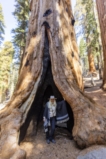 Portrait of smiling woman in trunk of Giant Sequoia tree