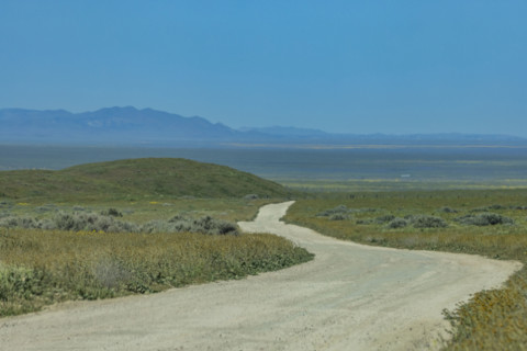 Empty dirt road crossing Carrizo Plain