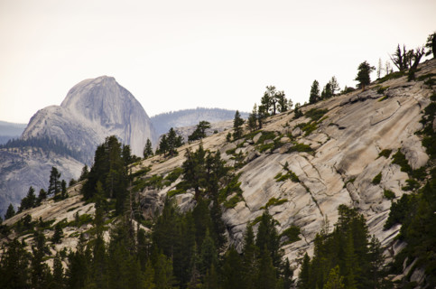 View of Half Dome from Olmstead Point