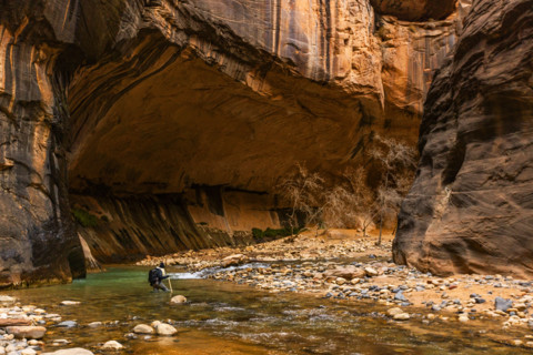 Woman wading The Narrows of Virgin River