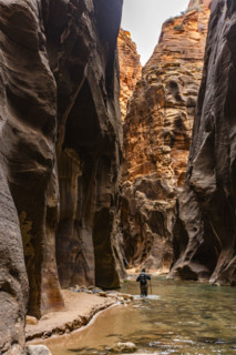Rear view of woman wading The Narrows of Virgin River