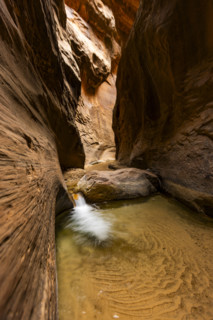 Small waterfall on The Narrows section of Virgin River