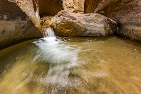 Small waterfall on The Narrows section of Virgin River
