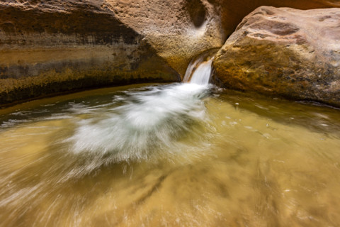 Small waterfall on The Narrows section of Virgin River