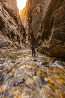 Rear view of woman wading The Narrows of Virgin River