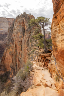 Angels Landing hiking trail with chains