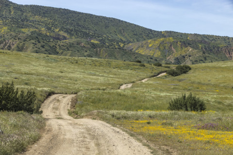 Dirt roads through Carrizo Plain