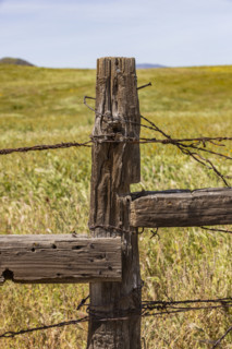 Close-up of rustic fence on Carrizo Plain
