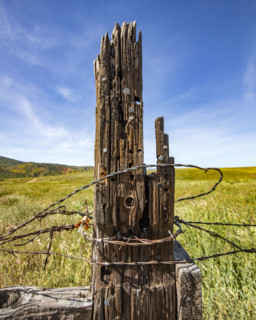 Close-up of rustic fence on Carrizo Plain