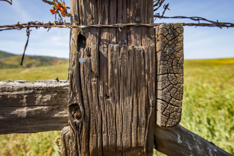 Close-up of rustic fence on Carrizo Plain