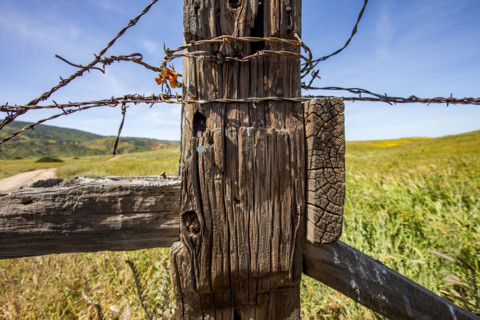 Close-up of rustic fence on Carrizo Plain