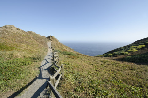 Walking path with ocean in distance on sunny day