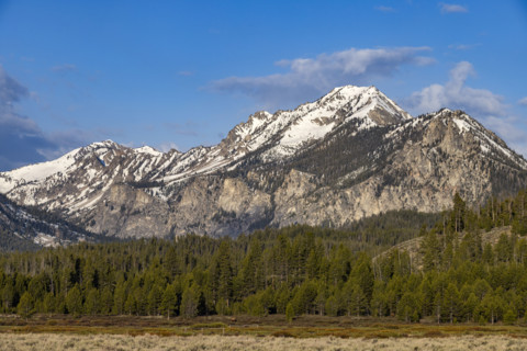 Snowcapped Sawtooth Mountains with trees in foreground