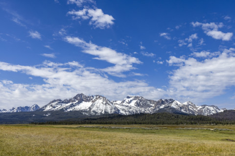 Snowcapped Sawtooth Mountains with grassy field in foreground