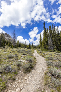 Empty hiking trail in Sun Valley