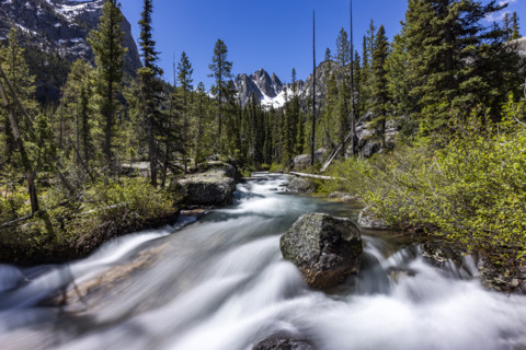 Rushing creek in Sawtooth Mountains, long exposure