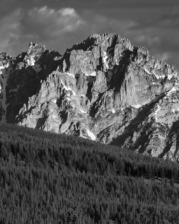 Sawtooth Mountains and forest, black and white