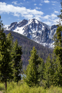 Sawtooth Mountains with trees in foreground
