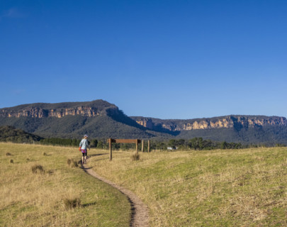 Rear view of woman hiking in grassy field
