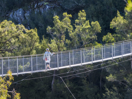 Hiker crossing suspension footbridge in landscape